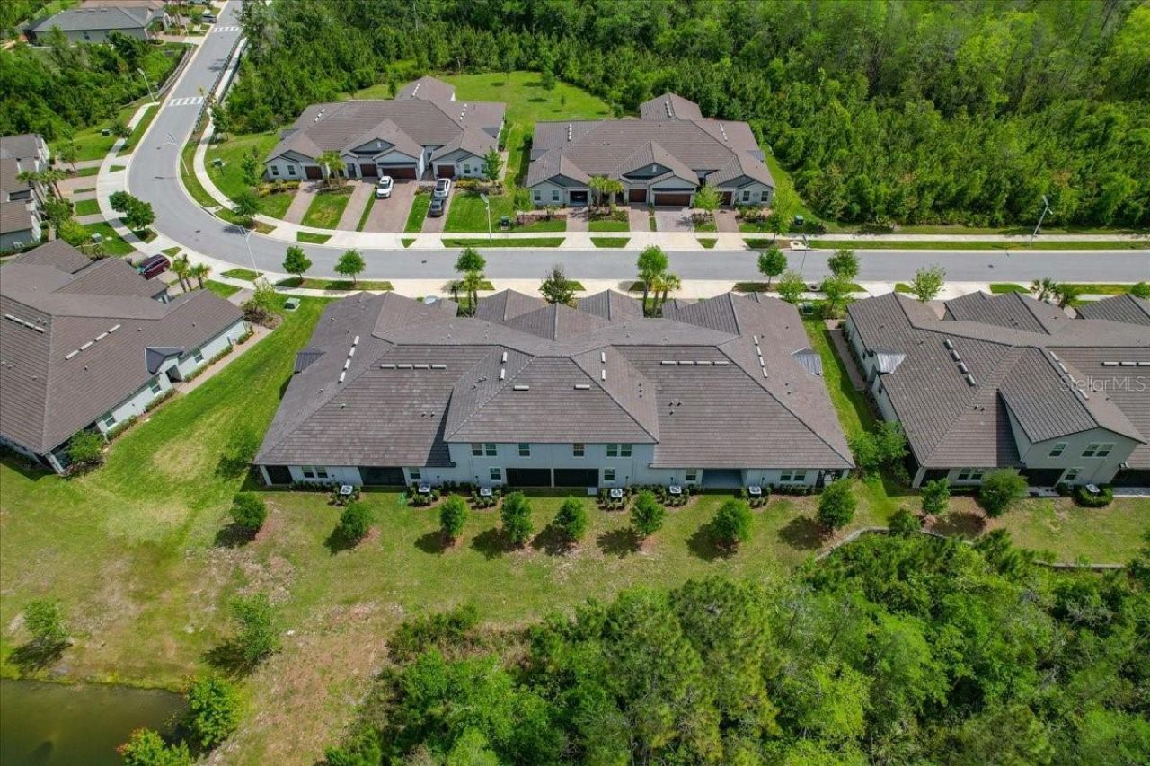 16673 Shell Bay Drive, Land O Lakes, FL 34638 Photo