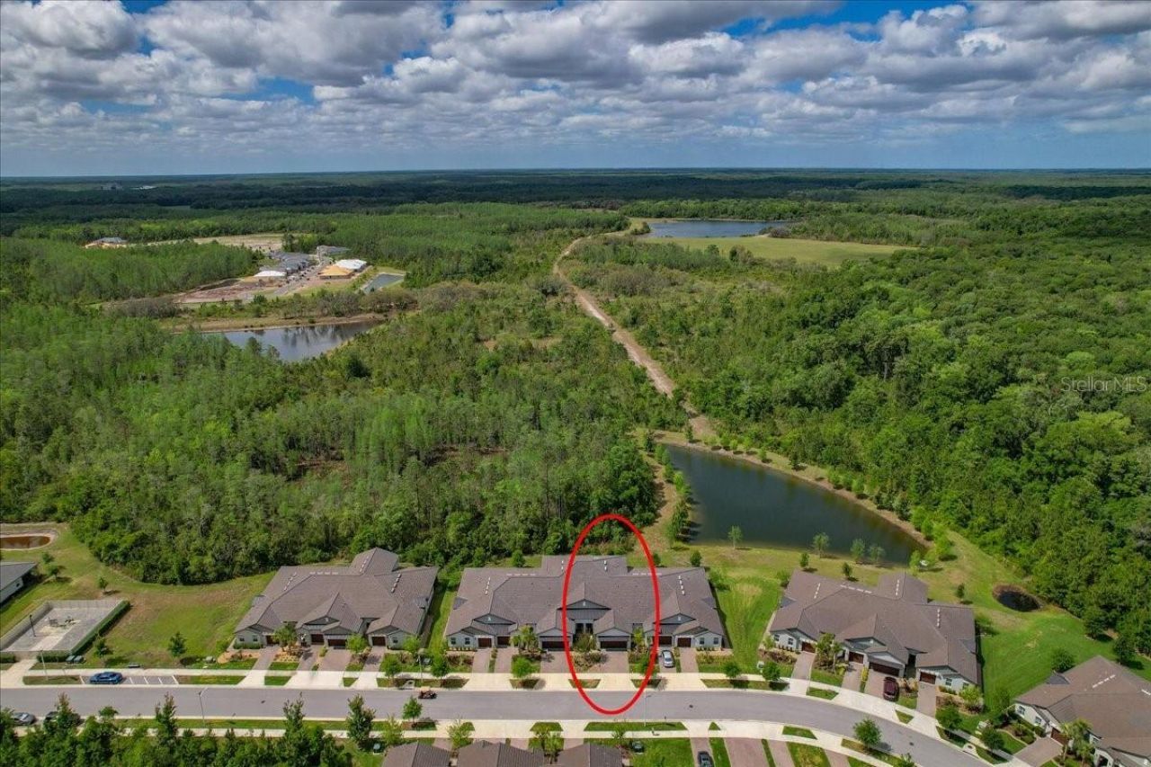 16673 Shell Bay Drive, Land O Lakes, FL 34638 Photo