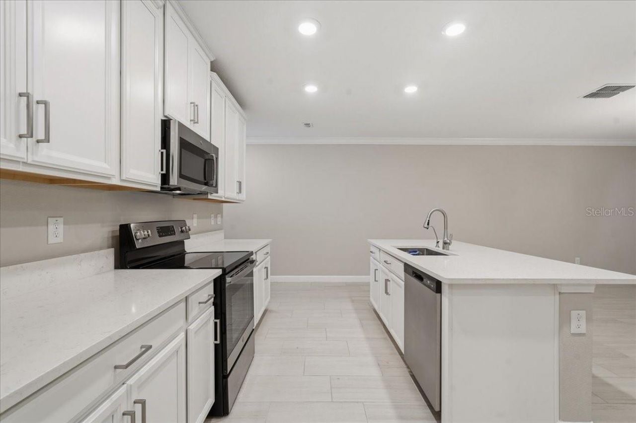 16673 Shell Bay Drive, Land O Lakes, FL 34638 Photo