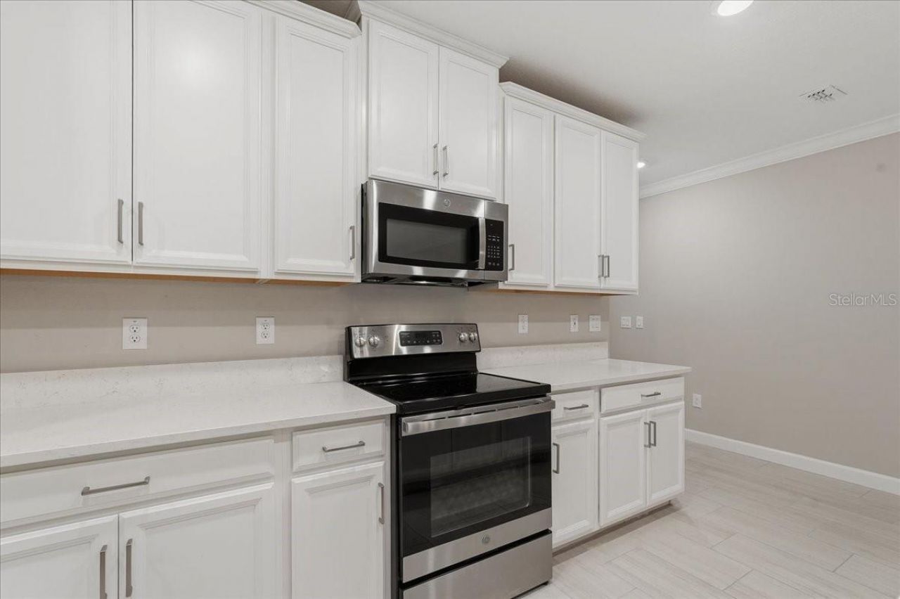 16673 Shell Bay Drive, Land O Lakes, FL 34638 Photo