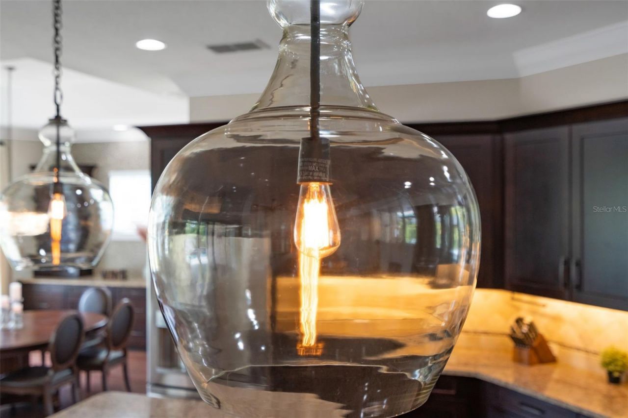 13221 Lower Harden Avenue, Orlando, FL 32827 Photo