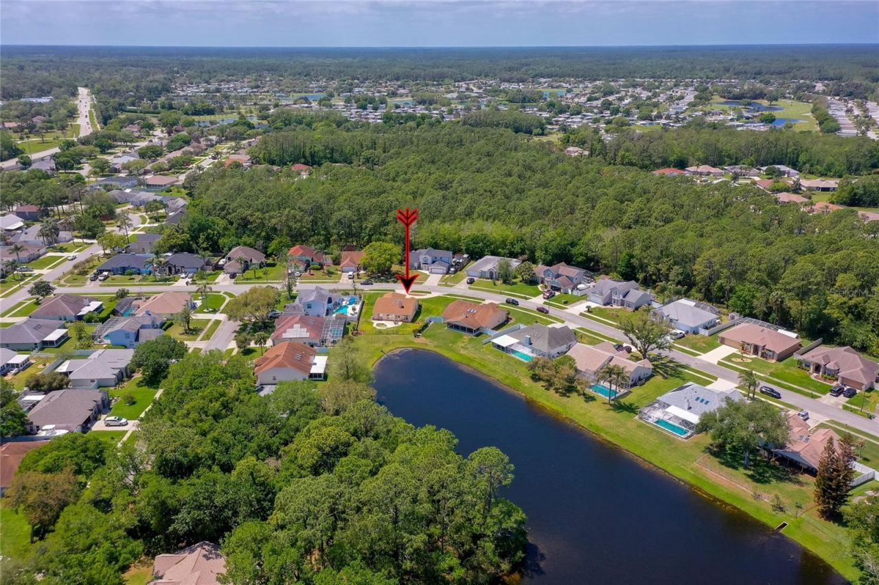 1312 N Wembley Circle, Port Orange, FL 32128 Photo