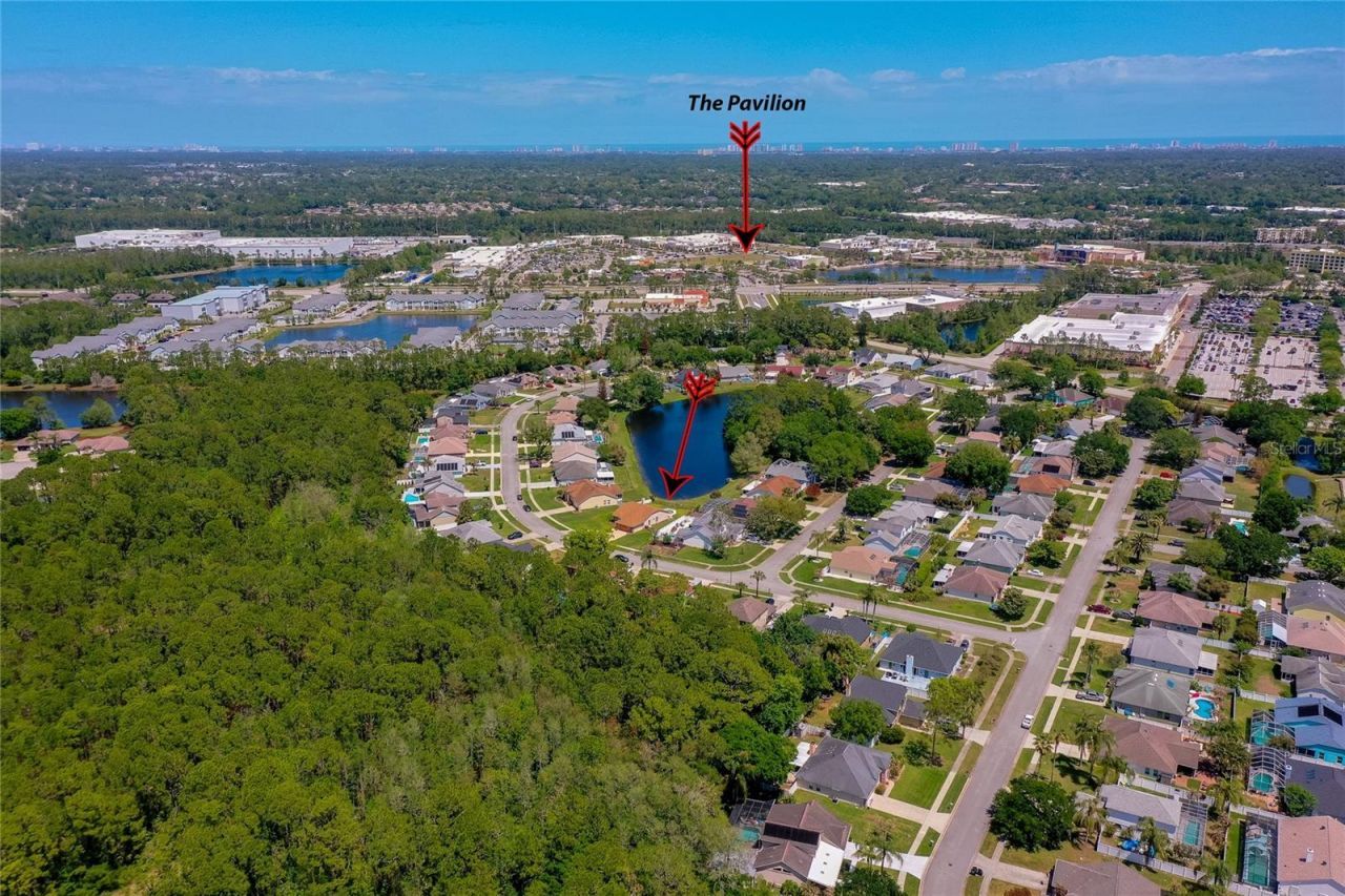 1312 N Wembley Circle, Port Orange, FL 32128 Photo