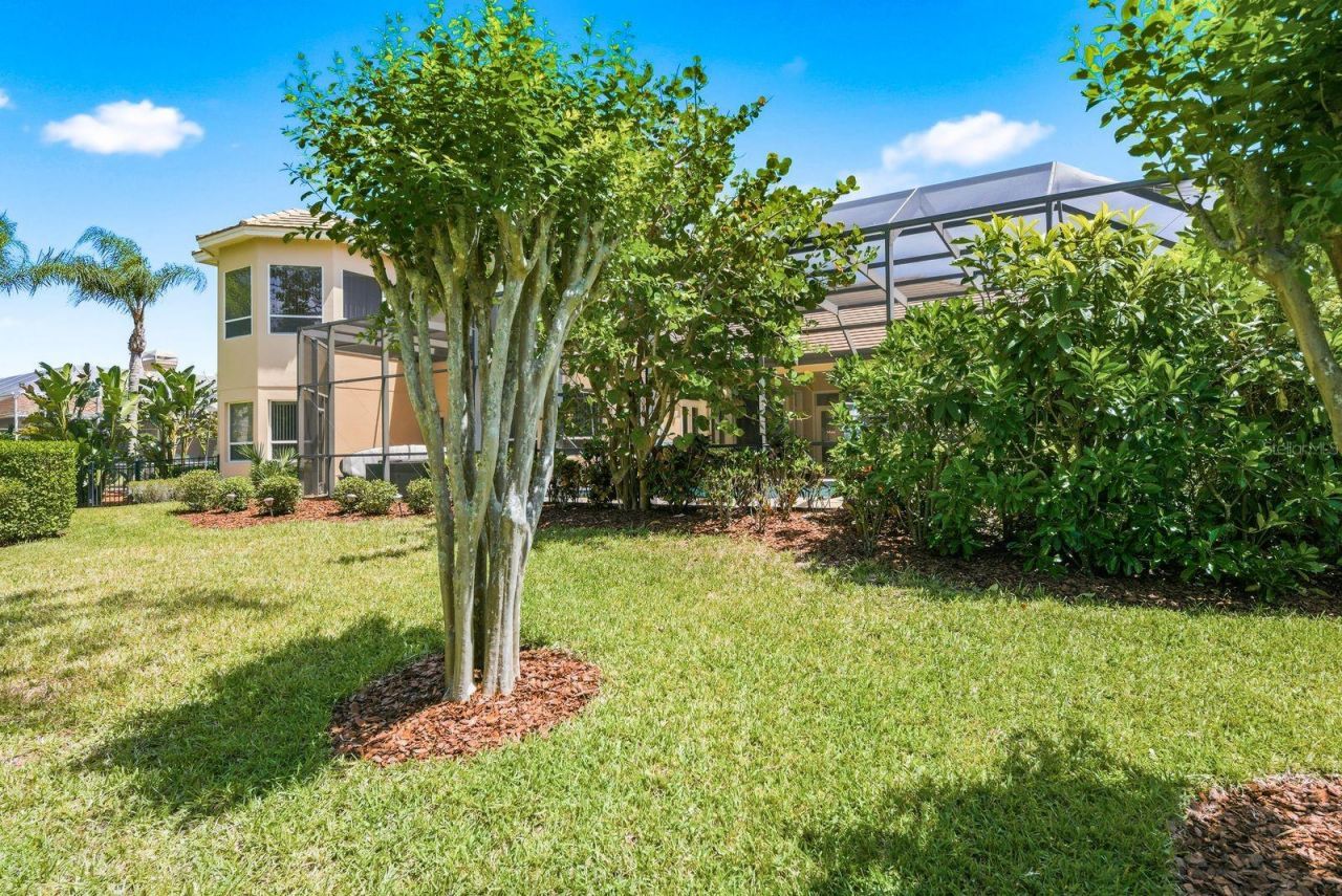 976 Cypress Cove Way, Tarpon Springs, FL 34688 Photo
