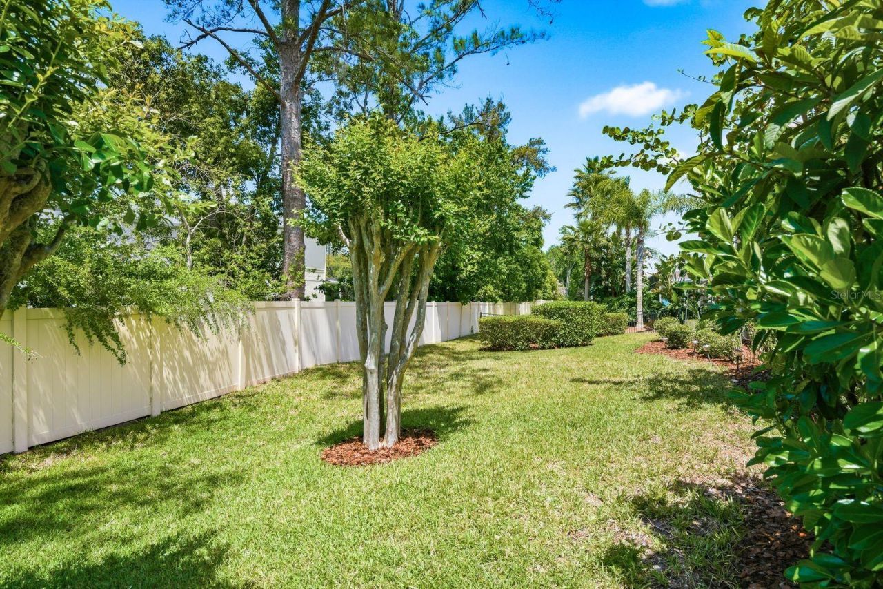 976 Cypress Cove Way, Tarpon Springs, FL 34688 Photo