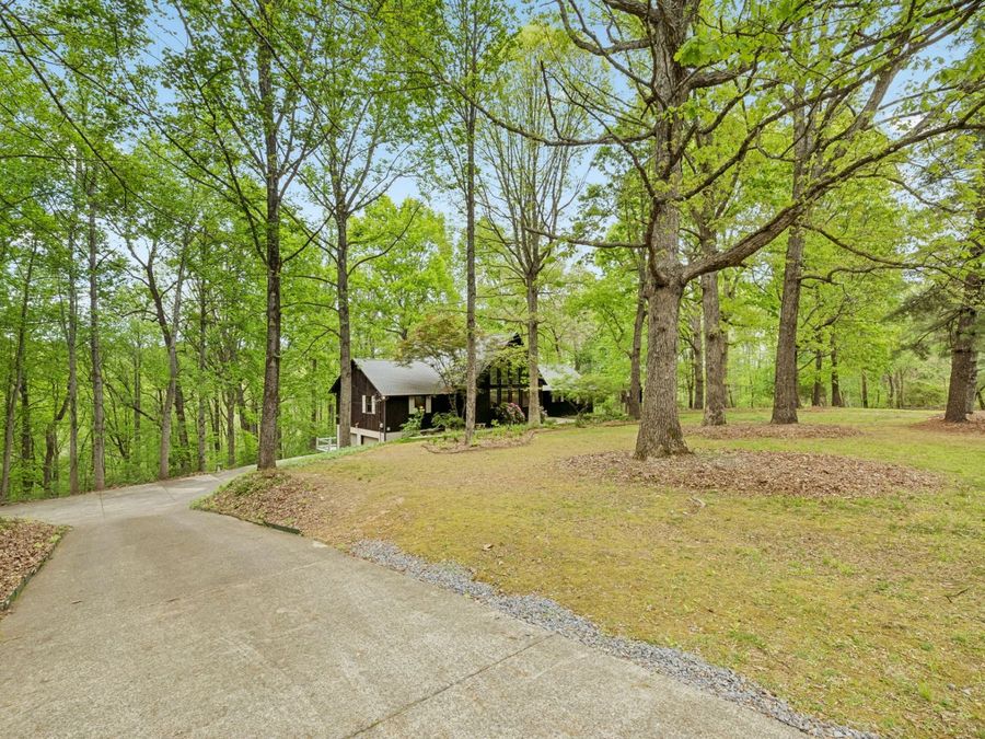 Property Image 48