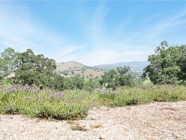 3295 Blue Oak Dr, Catheys Valley, CA 95306