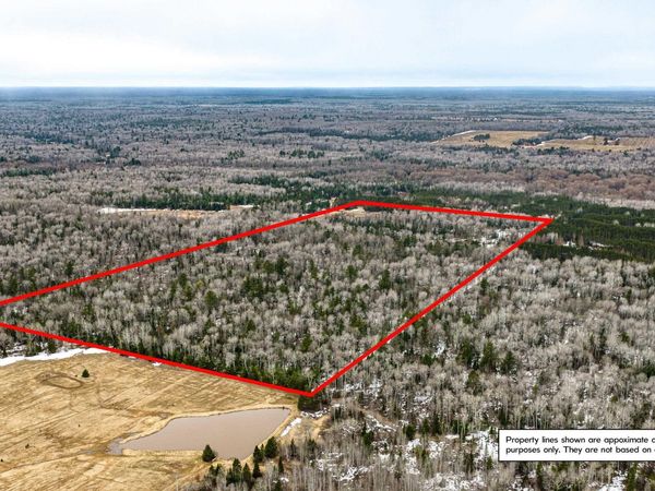 TBD Off of Choate Road, McMillan Twp, MI 49925