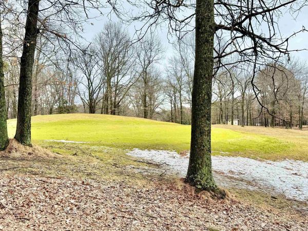 TBD S Lake Bluff 0.5 Drive, Wells Twp, MI 49837