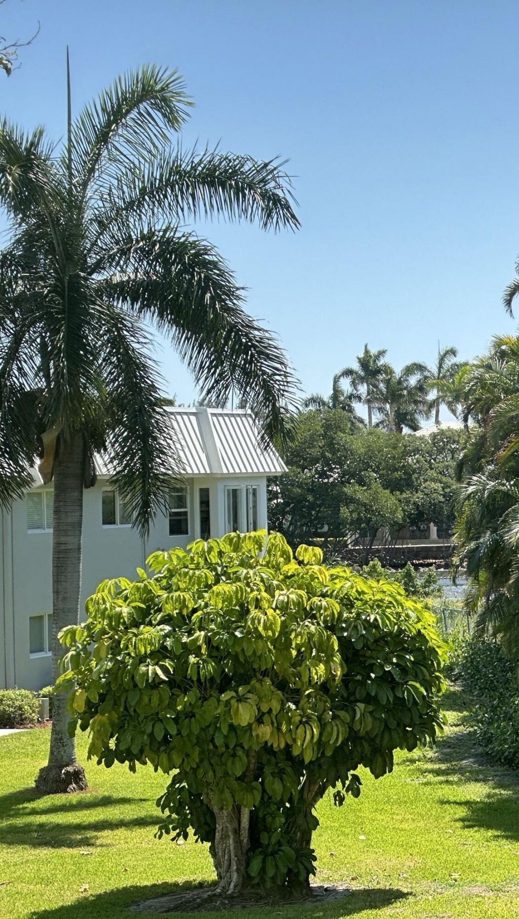 33 Colonial Club Drive, Unit 203, Boynton Beach, FL 33435 Photo