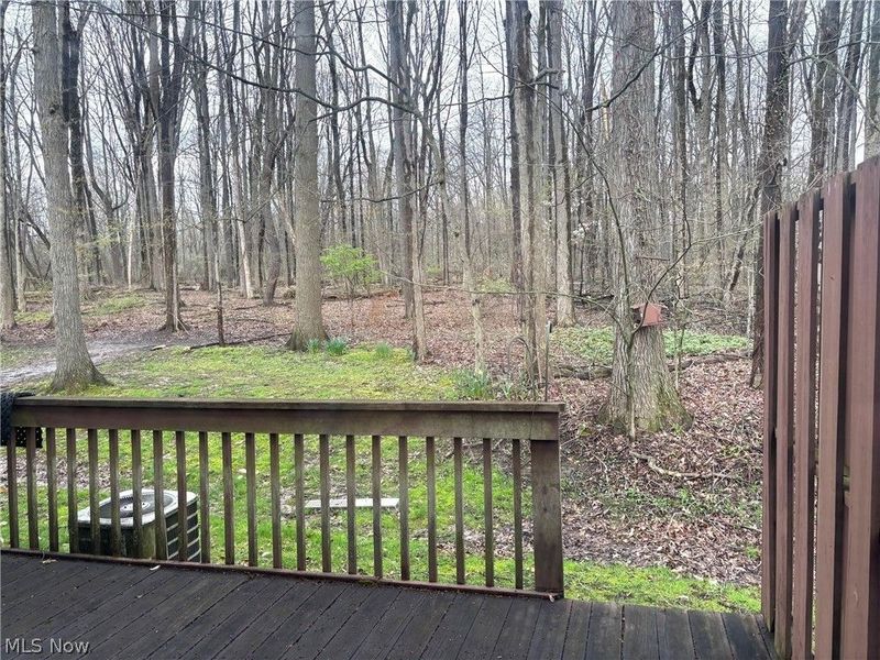 2898 Heatherwood Court , Stow, OH 44224 Photo 21