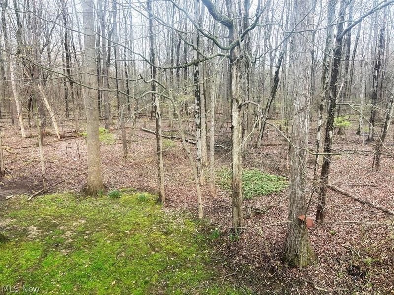 2898 Heatherwood Court , Stow, OH 44224 Photo 22