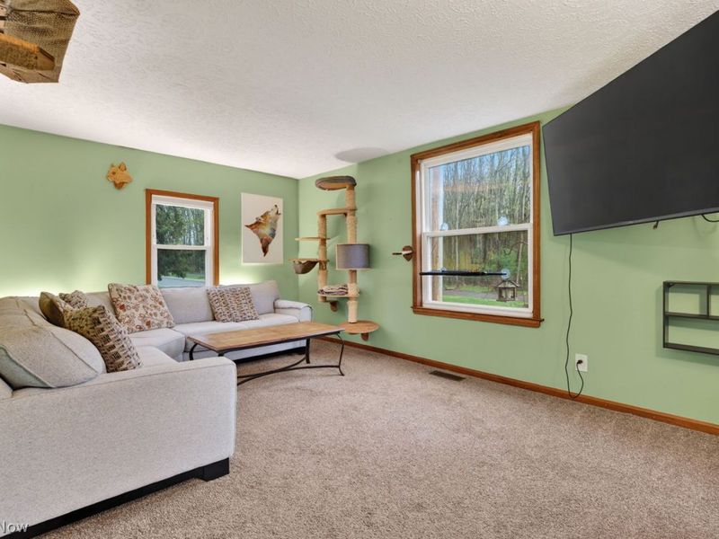 136 N Park Street , Oberlin, OH 44074 Photo 12