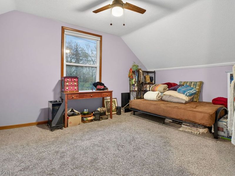 136 N Park Street , Oberlin, OH 44074 Photo 23