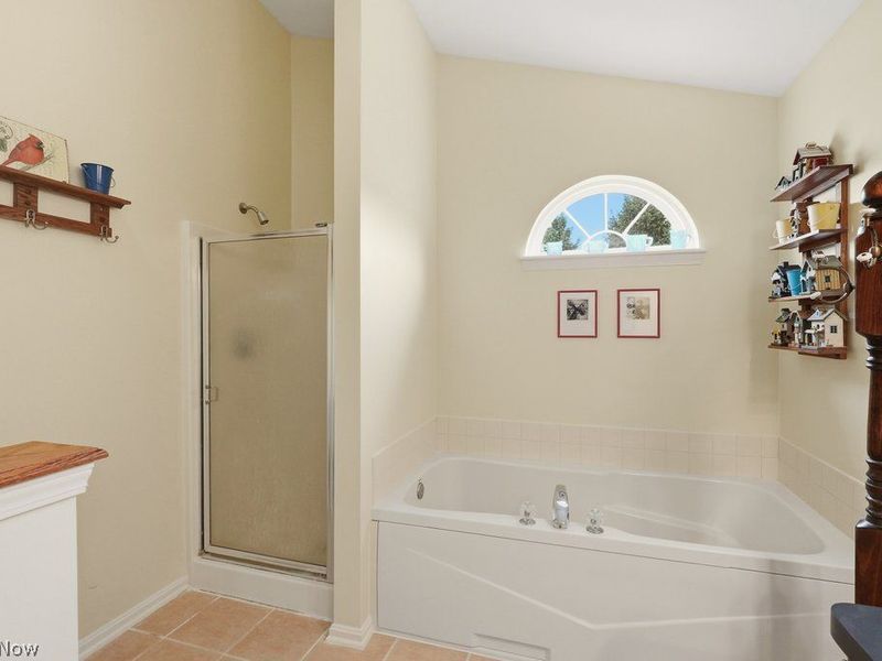 691 Jaystone Place, Macedonia, OH 44056 Photo 20