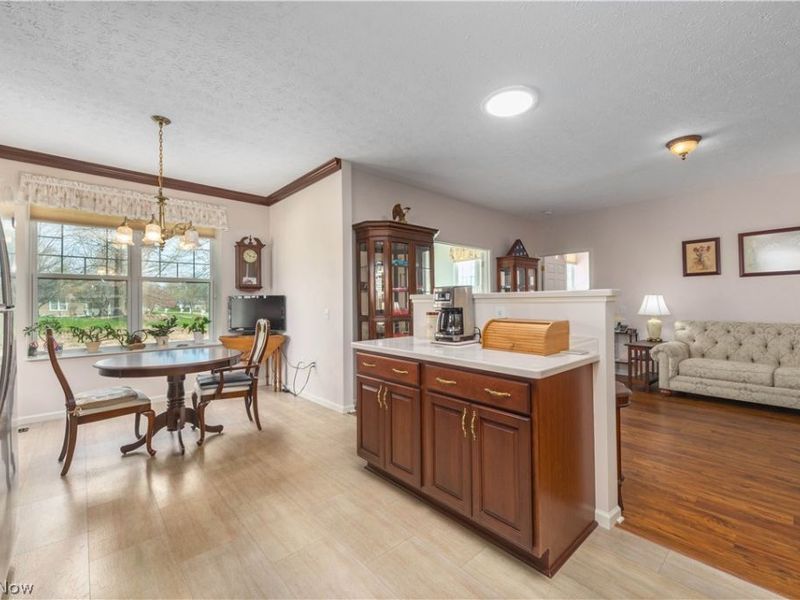 2100 Hathaway Court, Avon, OH 44011 Photo 16