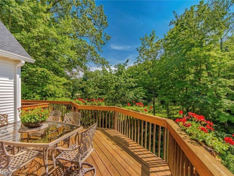 4530 Swan Lake Drive, Copley, OH 44321 Photo 42