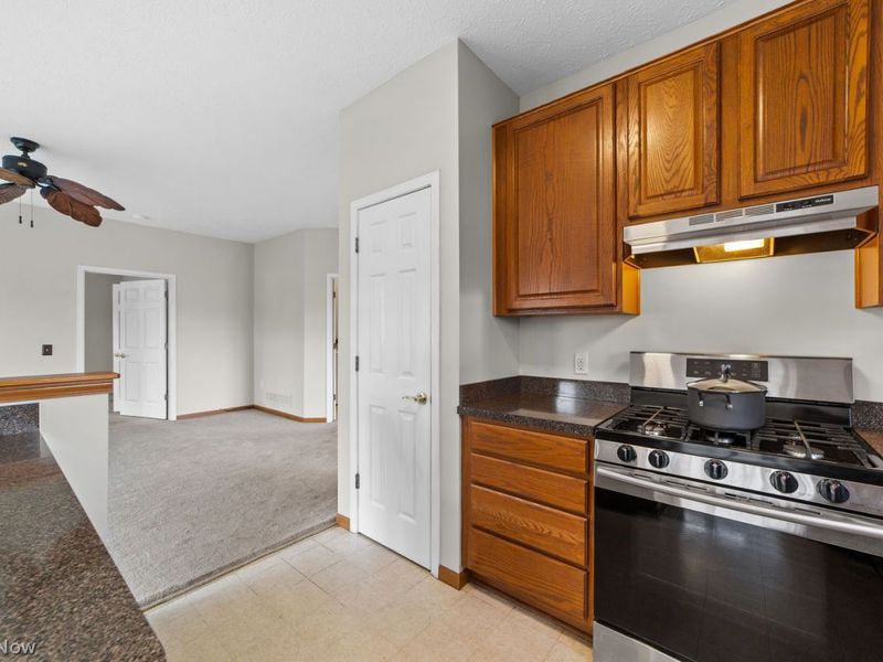 2401 Worthington Place, Avon, OH 44011 Photo 16