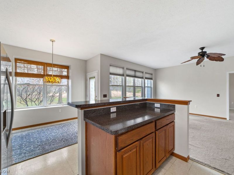 2401 Worthington Place, Avon, OH 44011 Photo 17