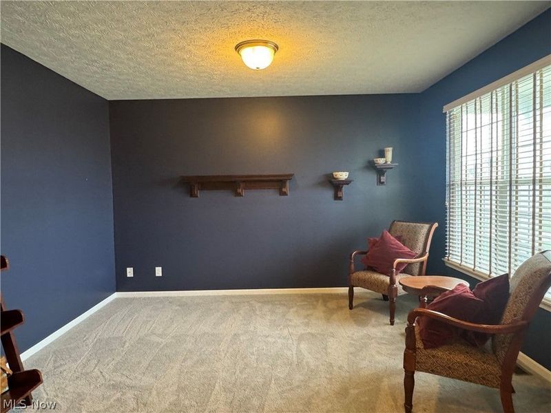 9011 Wyllys Drive, North Ridgeville, OH 44039 Photo 3