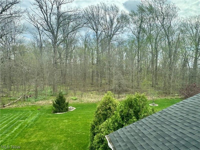 9011 Wyllys Drive, North Ridgeville, OH 44039 Photo 36