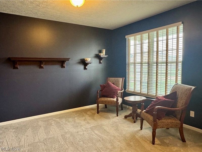 9011 Wyllys Drive, North Ridgeville, OH 44039 Photo 4