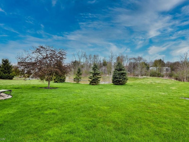 10352 Fox Hollow Circle, Twinsburg, OH 44087 Photo 37