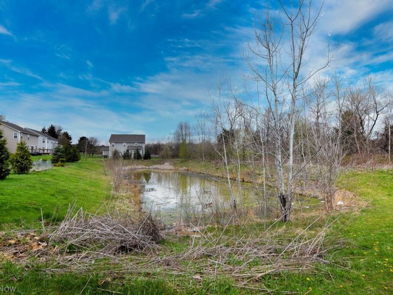 10352 Fox Hollow Circle, Twinsburg, OH 44087 Photo 38