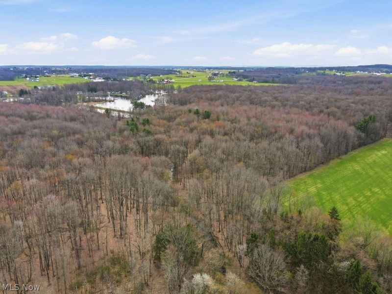 V/L Jug Street, Burton, OH 44021 Photo 11