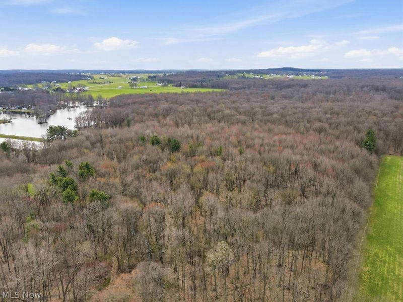 V/L Jug Street, Burton, OH 44021 Photo 12