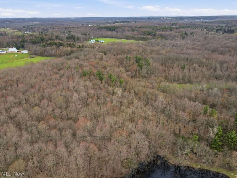 V/L Jug Street, Burton, OH 44021 Photo 15