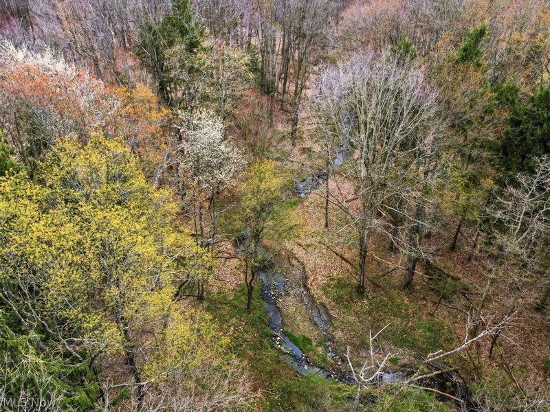 V/L Jug Street, Burton, OH 44021 Photo 16