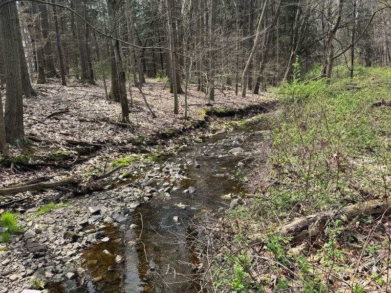 V/L Jug Street, Burton, OH 44021 Photo 17