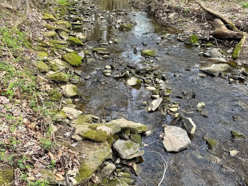 V/L Jug Street, Burton, OH 44021 Photo 18