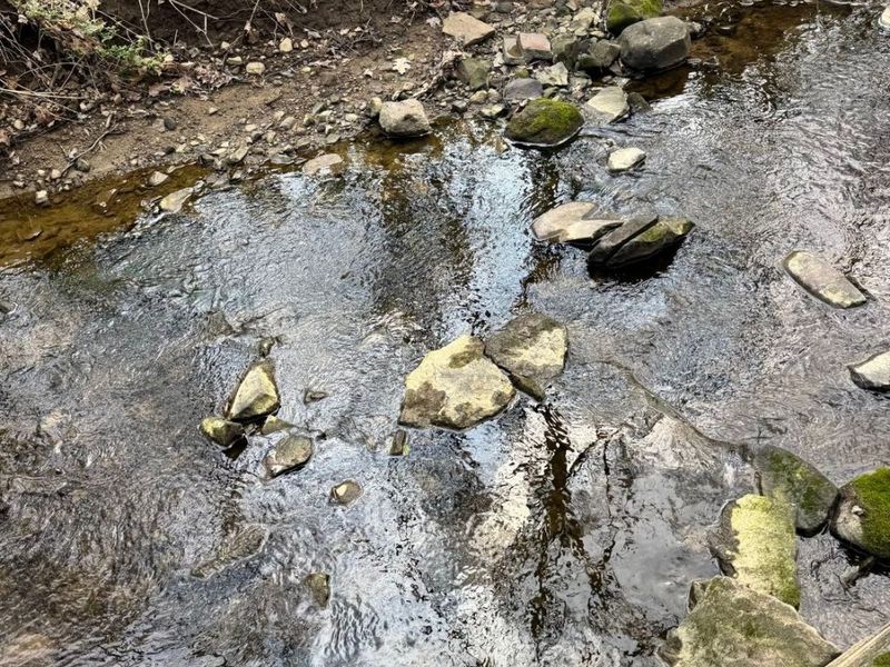 V/L Jug Street, Burton, OH 44021 Photo 19