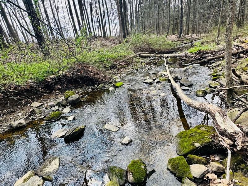 V/L Jug Street, Burton, OH 44021 Photo 20