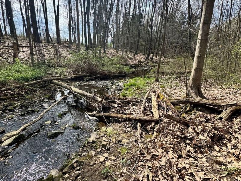 V/L Jug Street, Burton, OH 44021 Photo 21