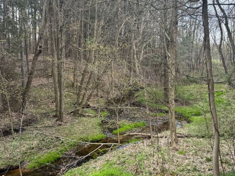 V/L Jug Street, Burton, OH 44021 Photo 22