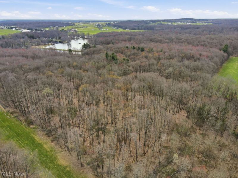 V/L Jug Street, Burton, OH 44021 Photo 7