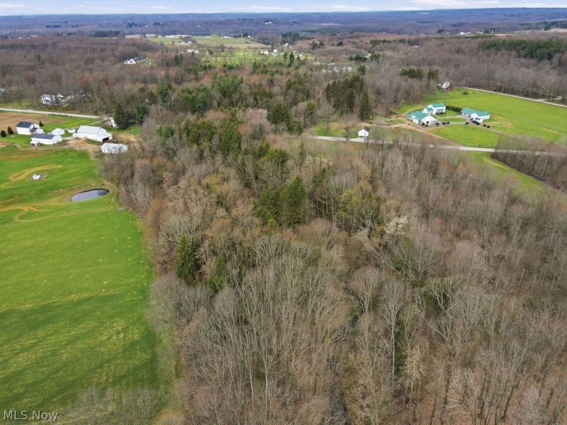 V/L Jug Street, Burton, OH 44021 Photo 8