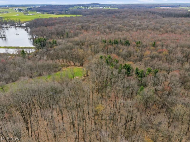 V/L Jug Street, Burton, OH 44021 Photo 9