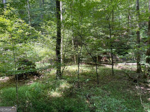 LOT 223 Bowline Drive, Unit 223, Ellijay, GA 30540