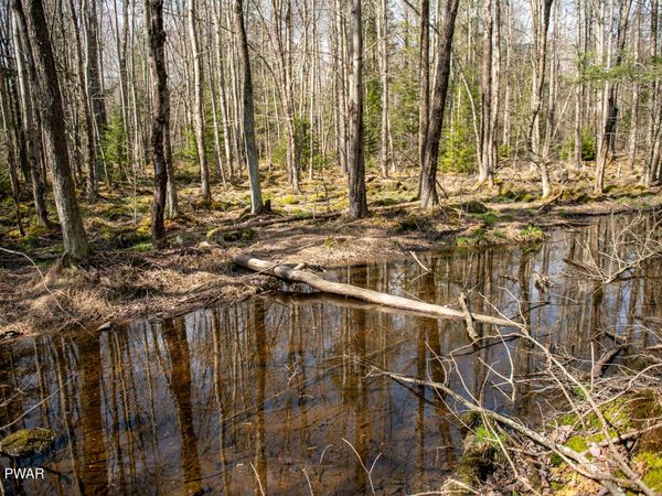 Rocky Swamp Rd 39, Pocono Lake, PA 18347