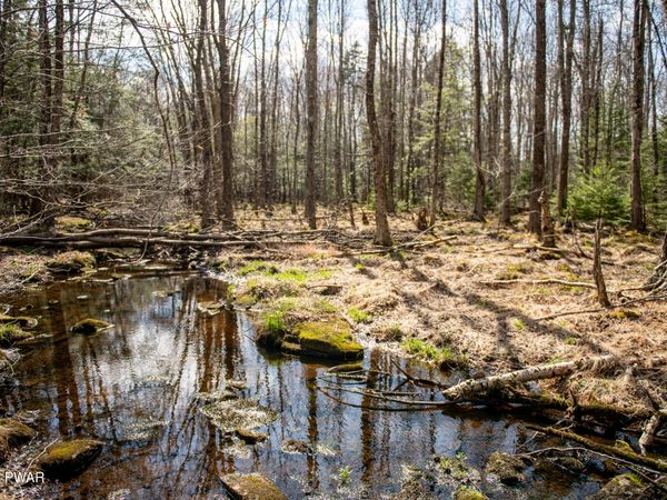 Rocky Swamp Rd 40, Pocono Lake, PA 18347