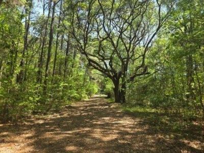 00 Bears Bluff, Unit Lot C, Wadmalaw Island, SC 29487