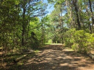 00 Bears Bluff Photo 7