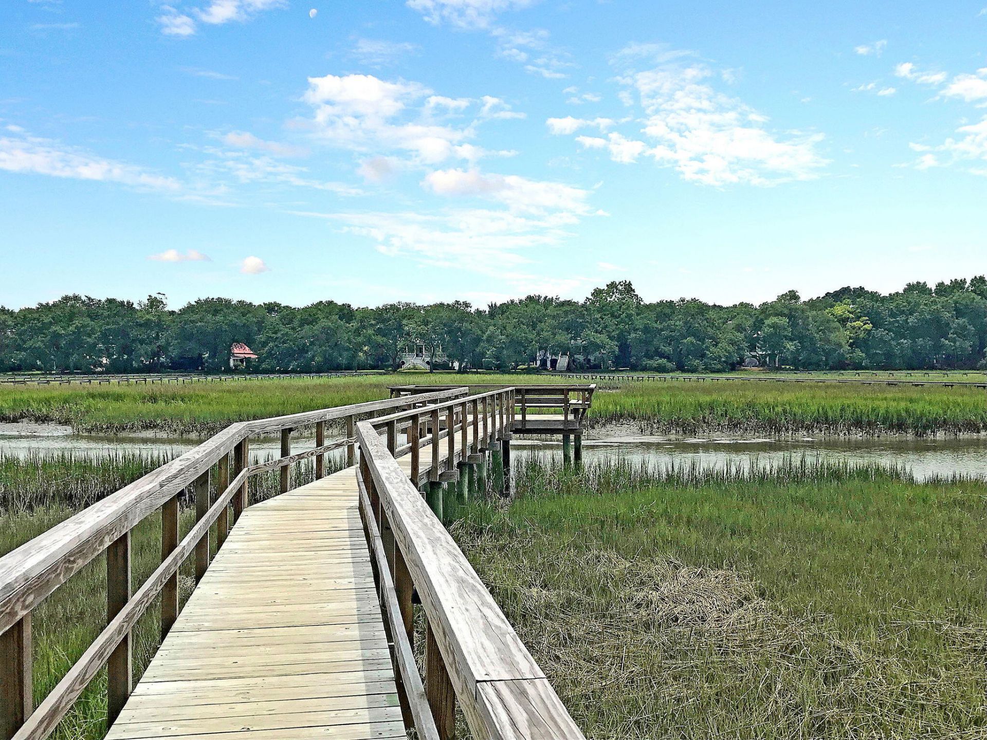 1442 Eutaw Battalion Drive Photo 51