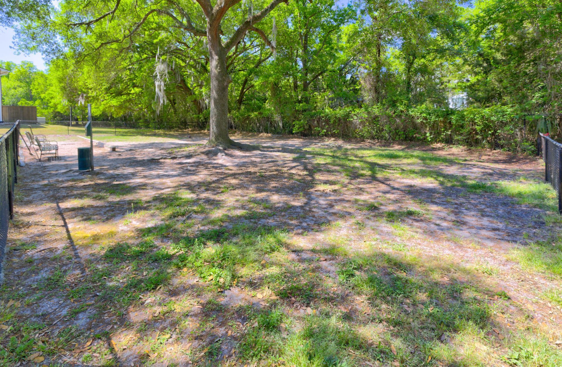 415 Parkdale Drive Photo 18