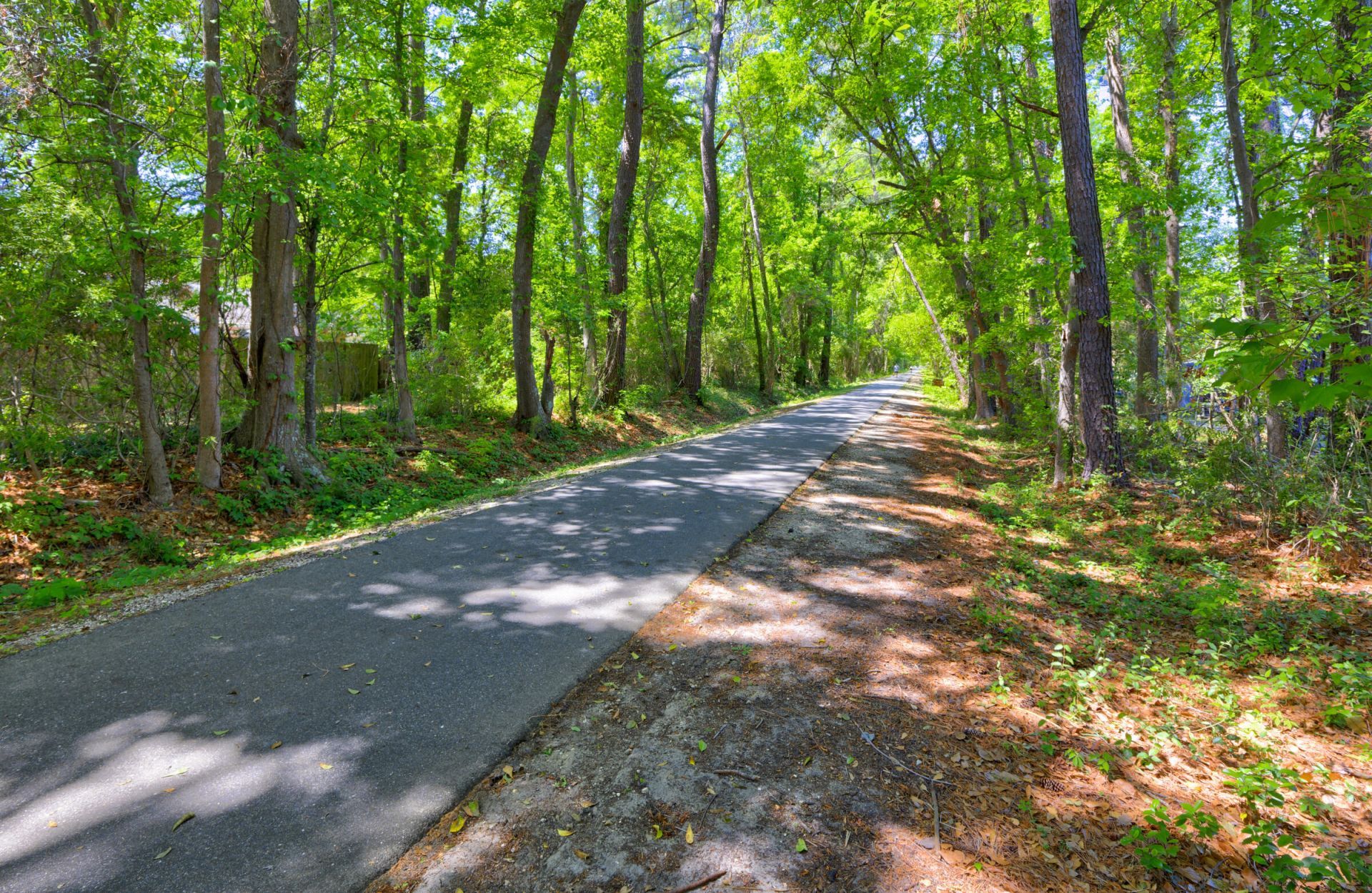 415 Parkdale Drive Photo 27