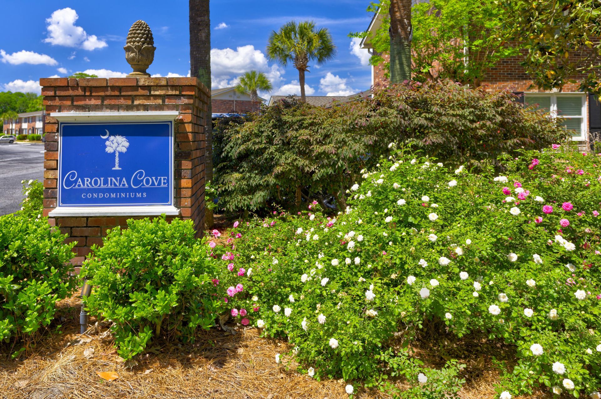 415 Parkdale Drive Photo 35